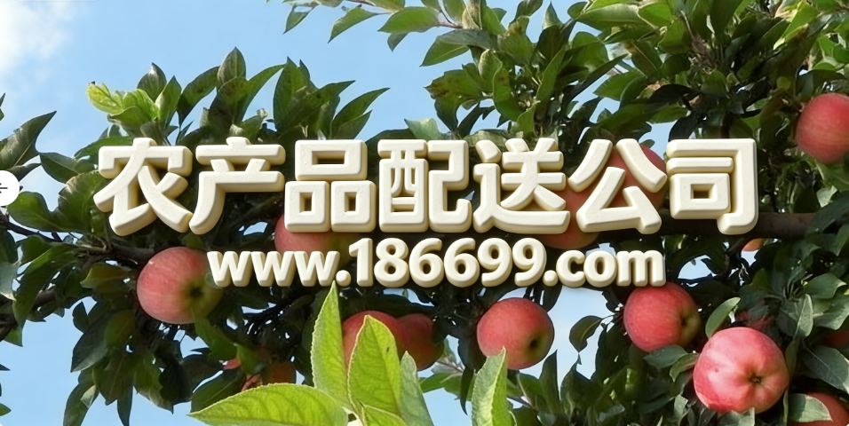 全球蘋果種植面積和產量最多的國家是哪里?