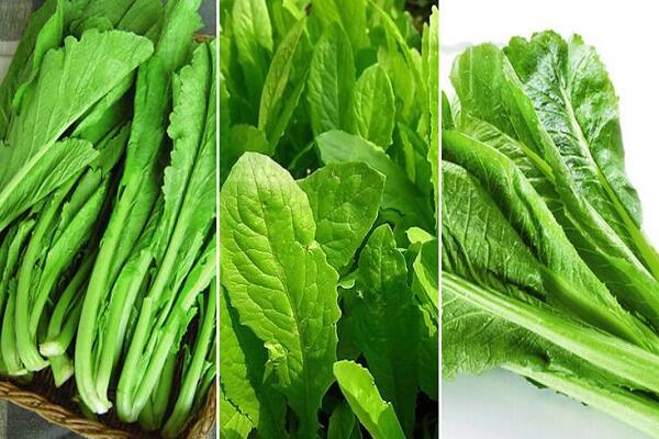 1760090168.jpg tupian_chuncai5.jpg