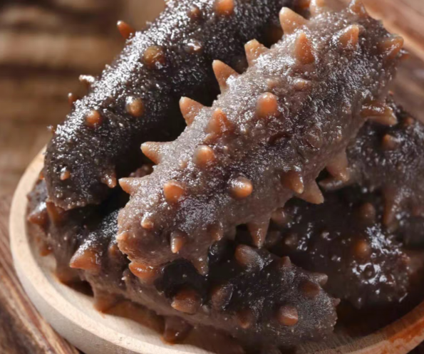 海參為什么是海底的軟黃金？