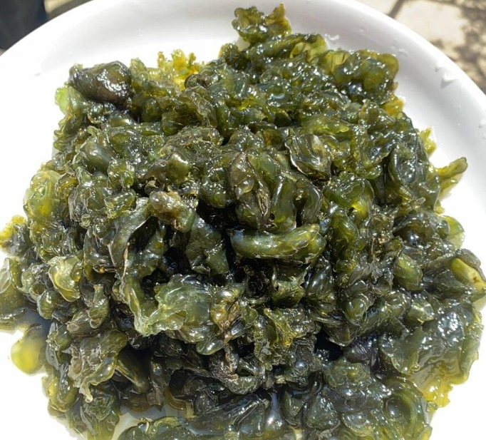 地皮菜:雨后才有的特產(chǎn),吃的是山野的饋贈