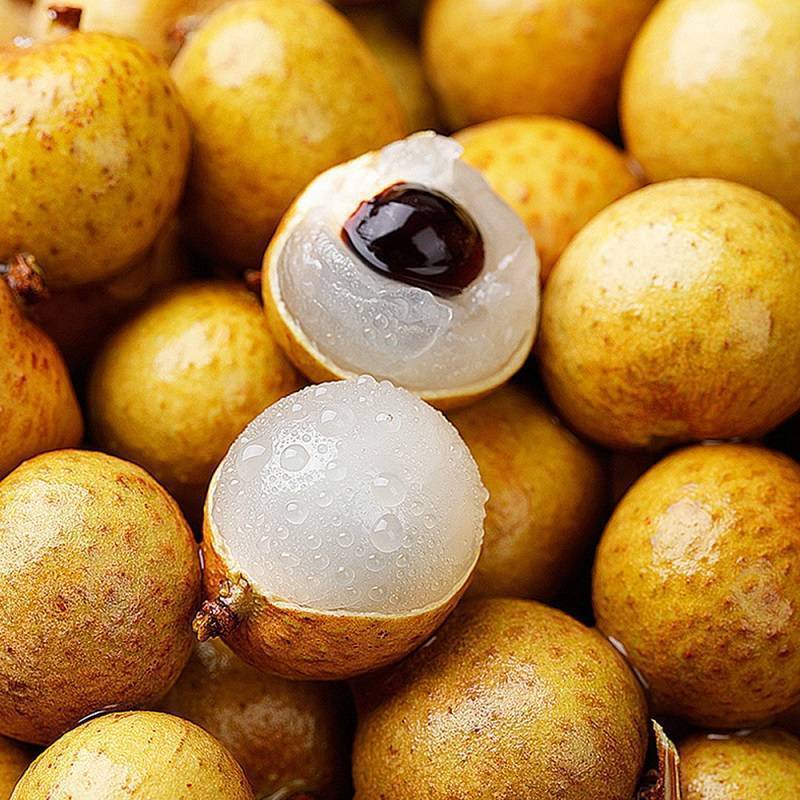 ?桂圓:滋補(bǔ)養(yǎng)生的甜蜜果實